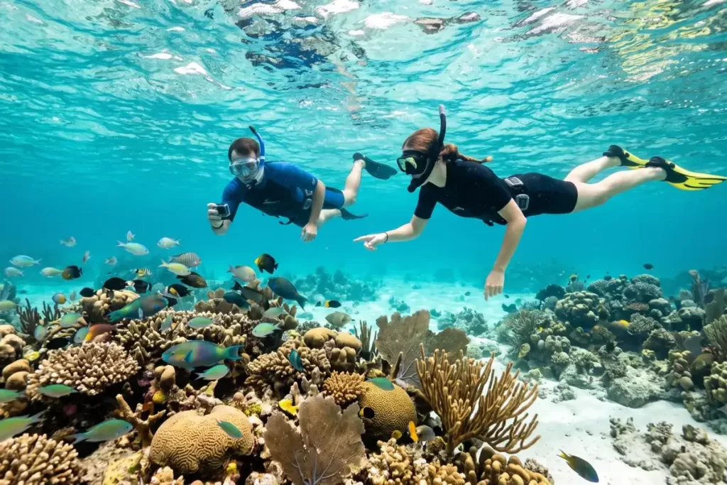 Dos personas practicando snorkeling responsable entre peces tropicales y arrecifes de coral dentro del marco del turismo sostenible en Cartagena